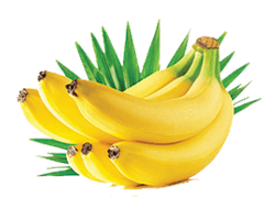 YELLOW BANANA FOR EAT 1PC  (DAR ES SALAAM)